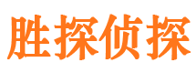 阳西寻人公司